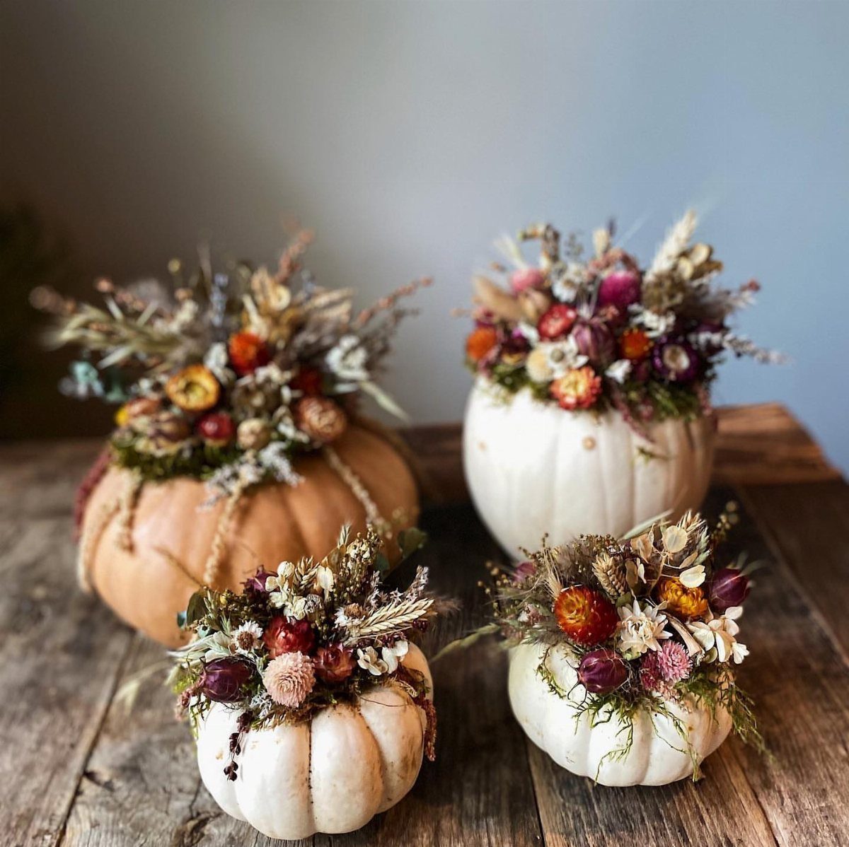 Dried flower arrangements planted inside orange and white pumpkins on a wooden table.
